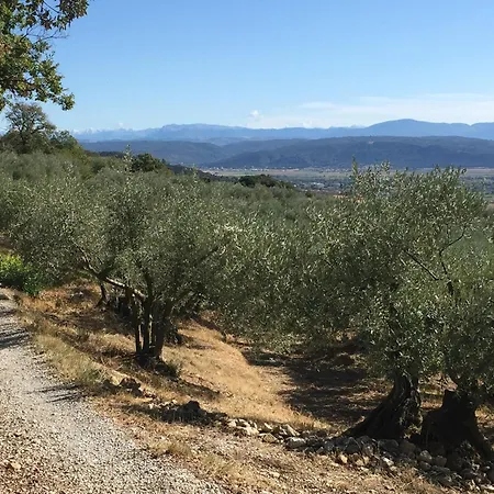 Luxe - Vues Panoramiques Villa Volx